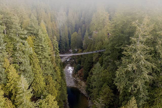 The Capilano Suspension Bridge crossing a misty forest canyon, seen from above